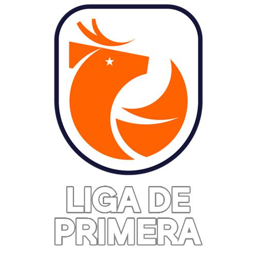 Liga Chilena 2025