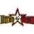 MetroStars SC